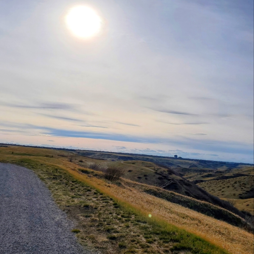 Meet your Posher, Meagan